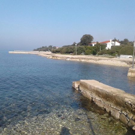 Apartmani Matela Petrcane Bagian luar foto